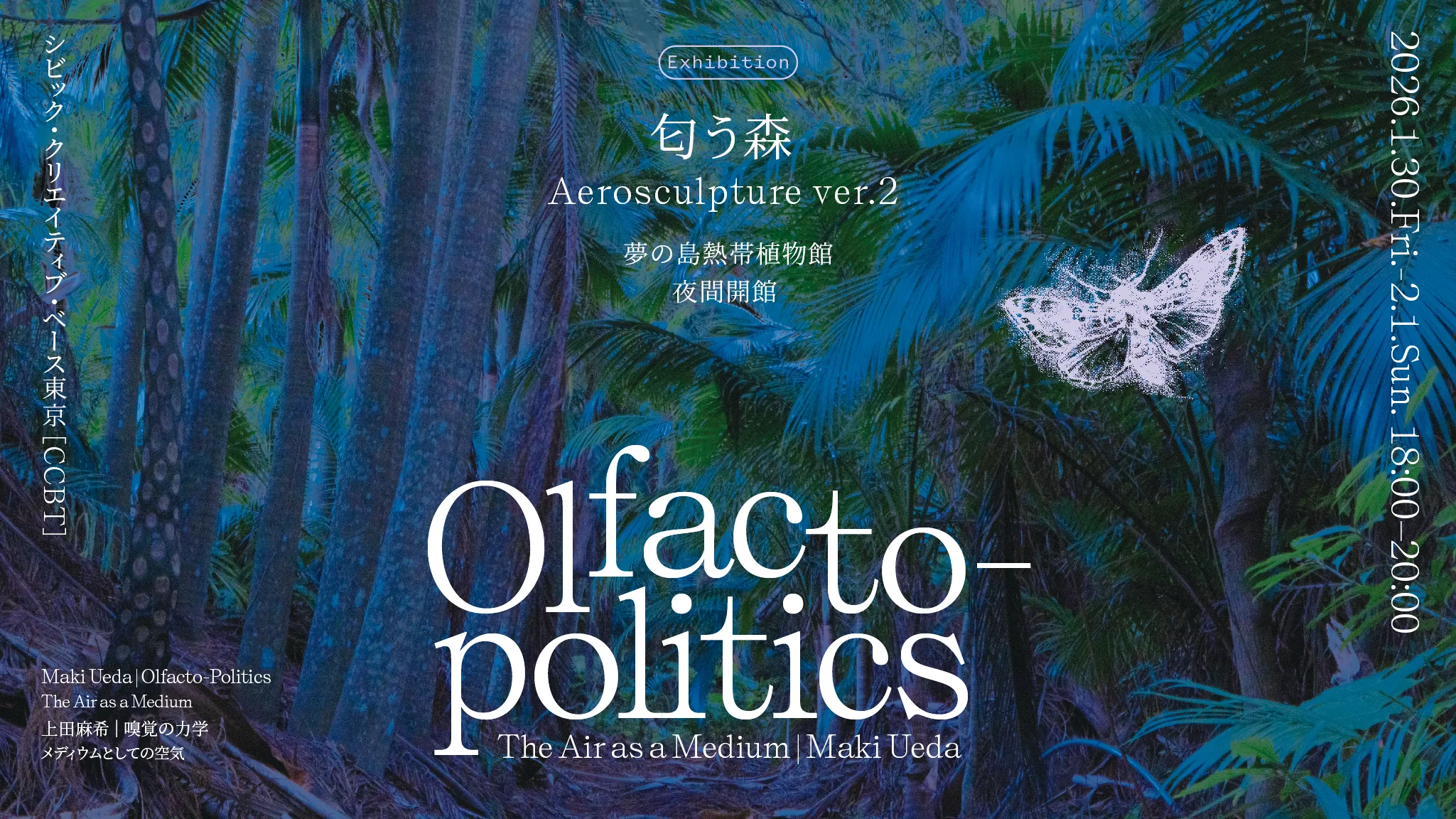 上田麻希 展覧会「Aerosculpture ver.2『匂う森』」 thumbnail